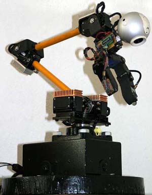 Click on the picture to view more details about CHORG robotic arm