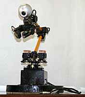 CHORG II ROBOTIC ARM